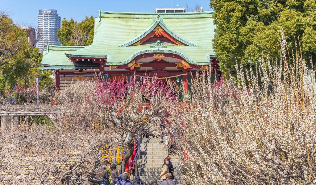 ⛩️ 유시마 학문 신사 (유시마 텐만구) 이미지 9